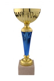 Cupe Sportive CE 17